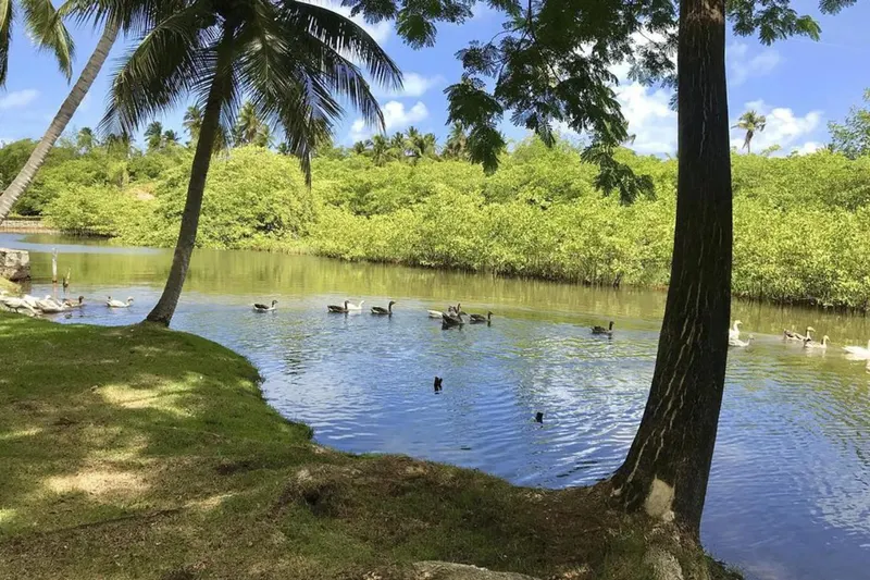 Área externa da pousada