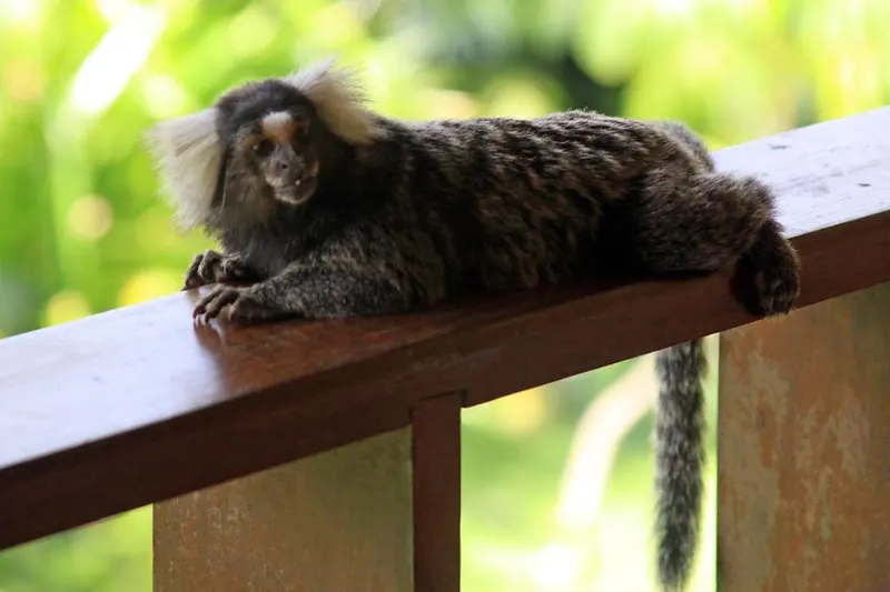 Área externa da pousada