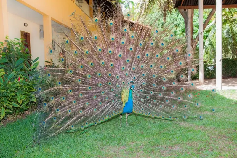 Área externa da pousada