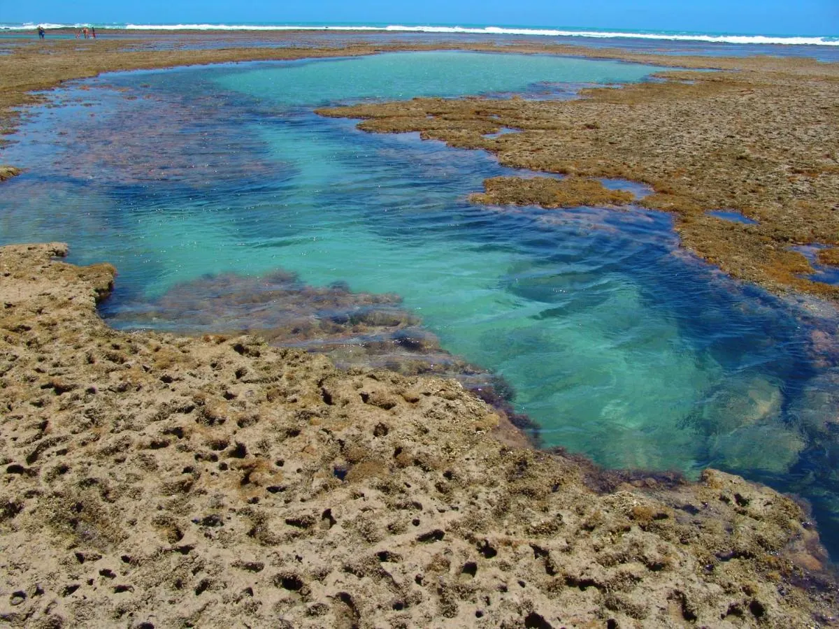 Piscina natural entre os recifes de Maragogi
